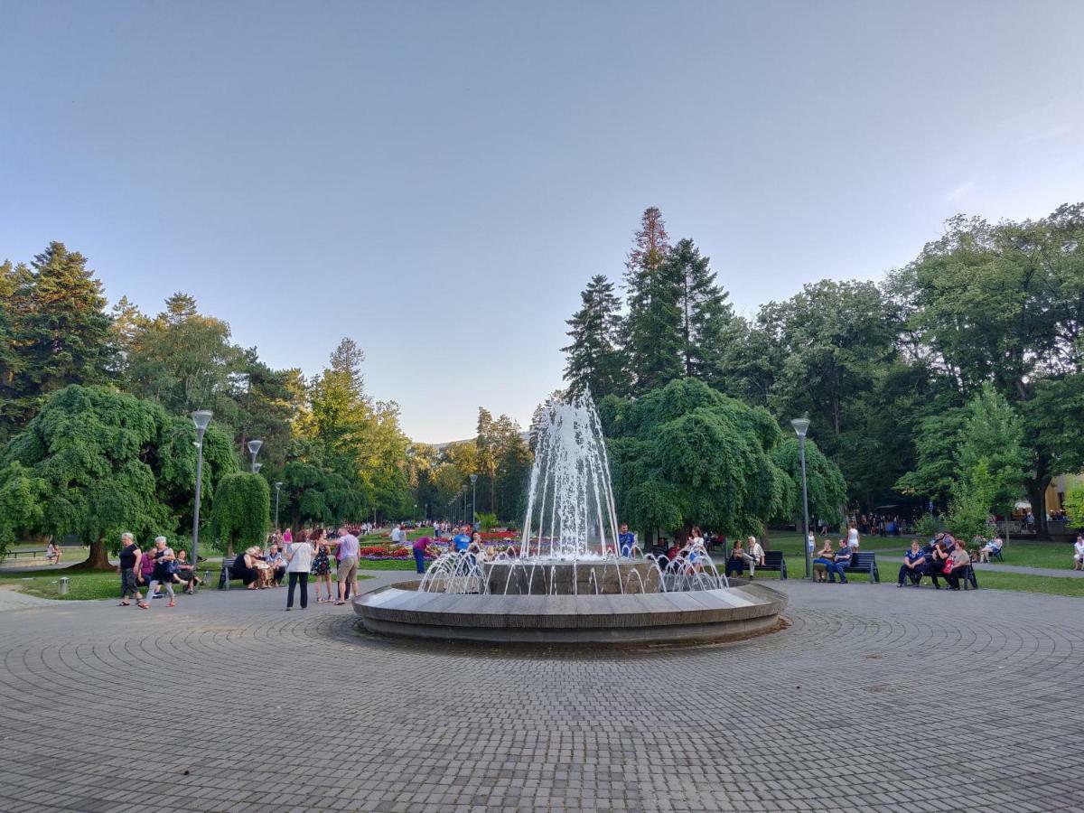 Hotel Fontana Vrnjačka Banja Εξωτερικό φωτογραφία